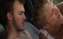Muscly hunk sucking cock